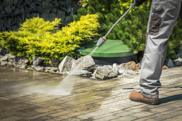 Best Driveway Pressure Washing  in Wonder Lake, IL