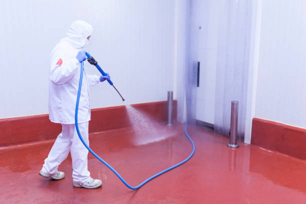 Best Roof Washing  in Wonder Lake, IL