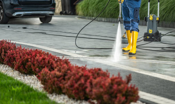 Best Dumpster Area Cleaning  in Wonder Lake, IL